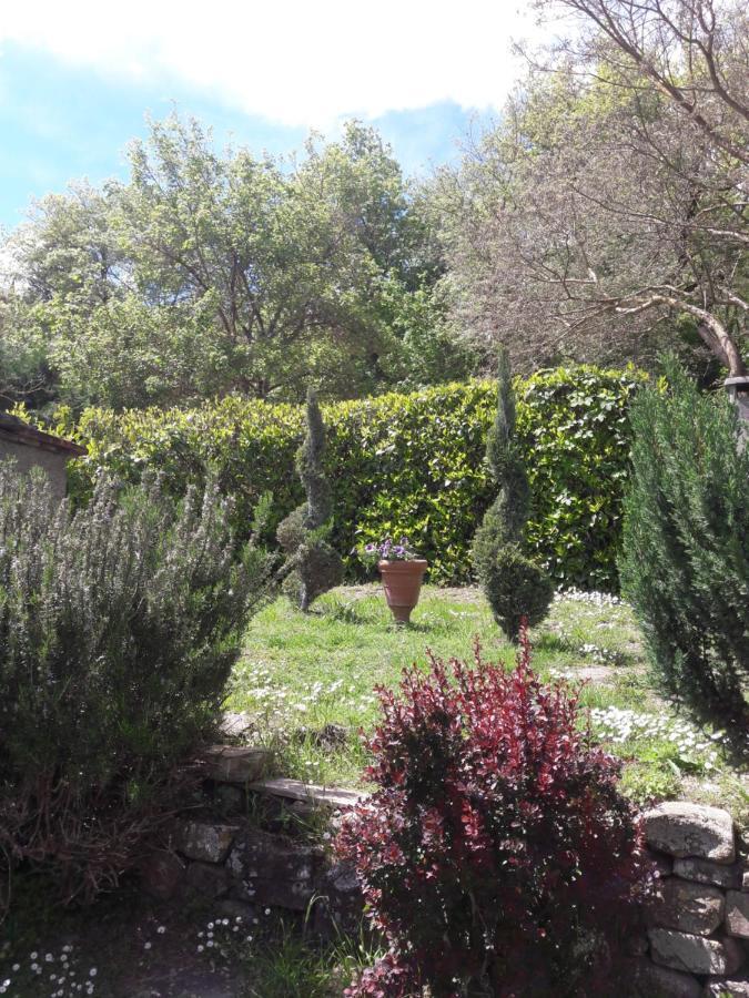 La Fiaba Guest House Castellina in Chianti Ngoại thất bức ảnh