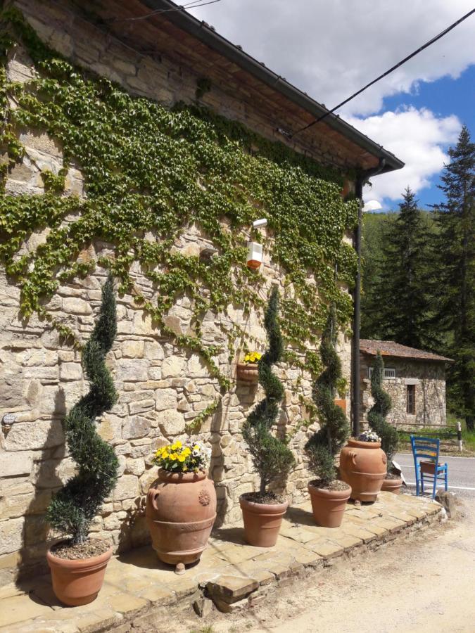 La Fiaba Guest House Castellina in Chianti Ngoại thất bức ảnh